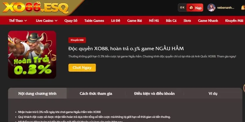 Ngầu Hầm: Hoàn trả độc quyền 0.3%